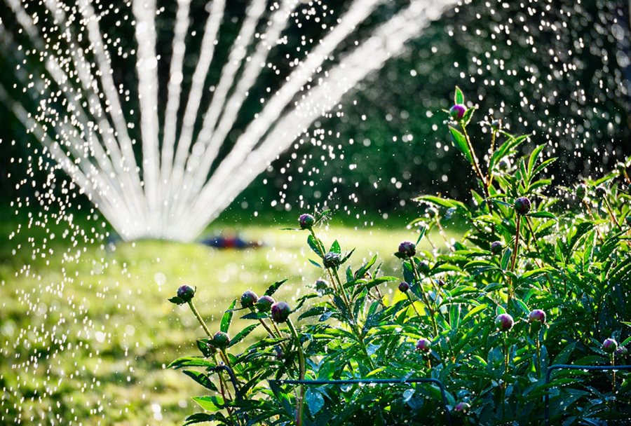 Watering &amp; Irrigation