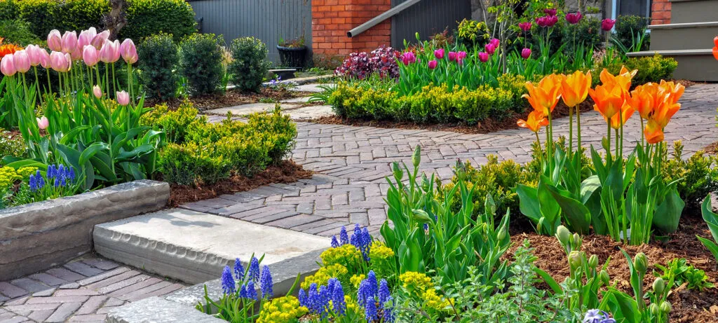 Lawn &amp; Plant Care